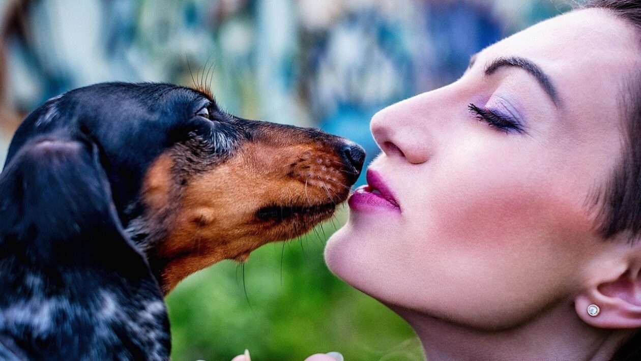 Modulárnosť hardvéru UAS: Návrh a údržba komponentov s dôrazom na field-replaceable jednotky