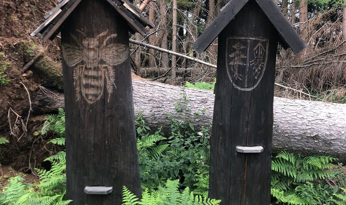 3D perceptorika: Komparatívna štúdia robustnosti a latencie Lidar vs. stereo-kamery