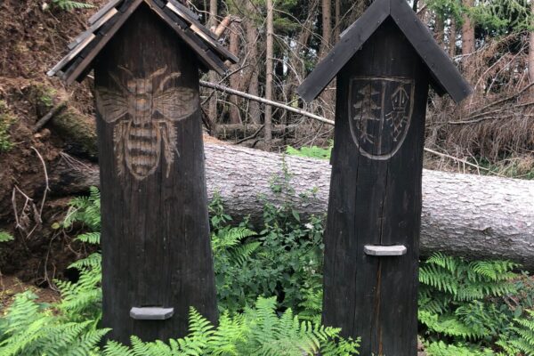 3D perceptorika: Komparatívna štúdia robustnosti a latencie Lidar vs. stereo-kamery