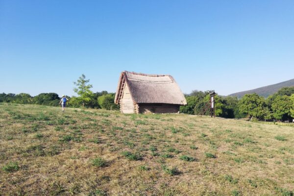 Plánovanie trajektórií: Algoritmy s reštrikciami dynamiky, prekážok a časových okien