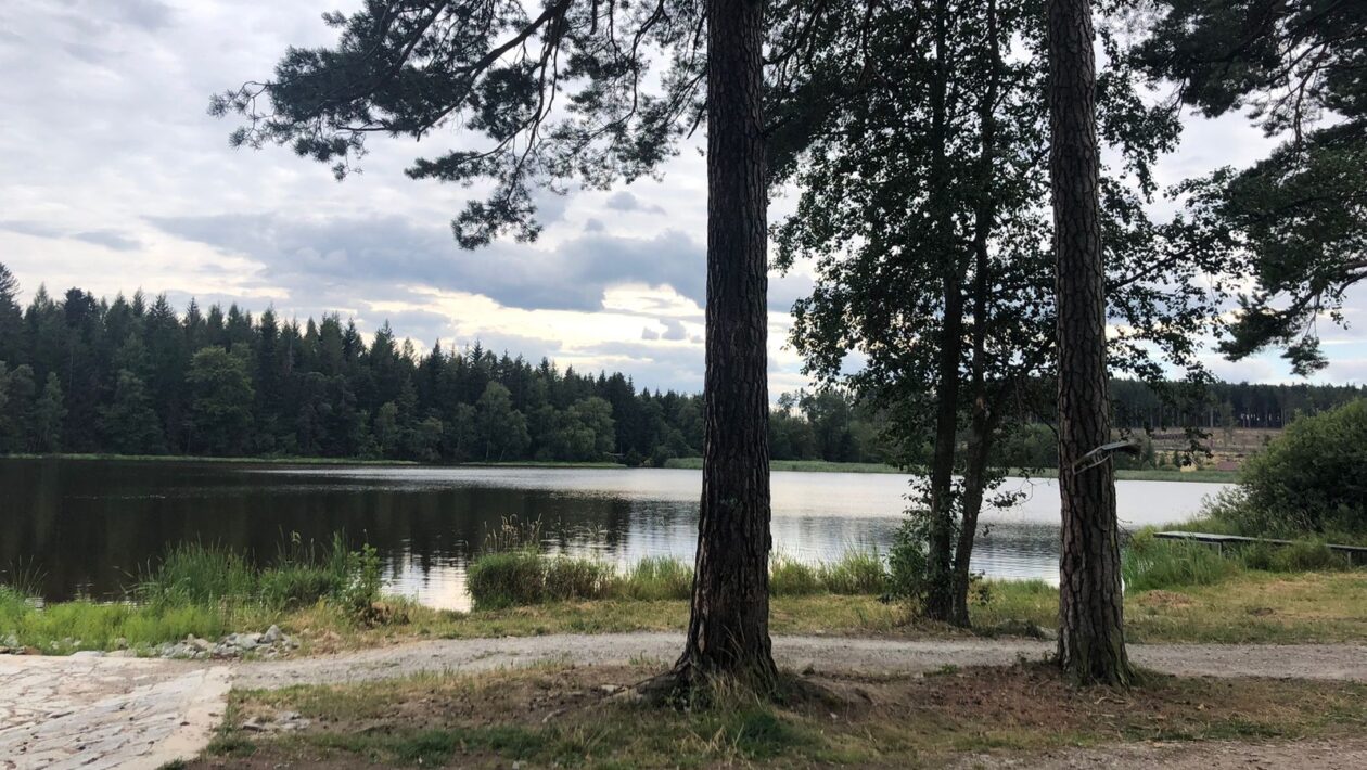 Testovanie autopilota: Dizajn simulačných prostredí HIL a SIL pre drony